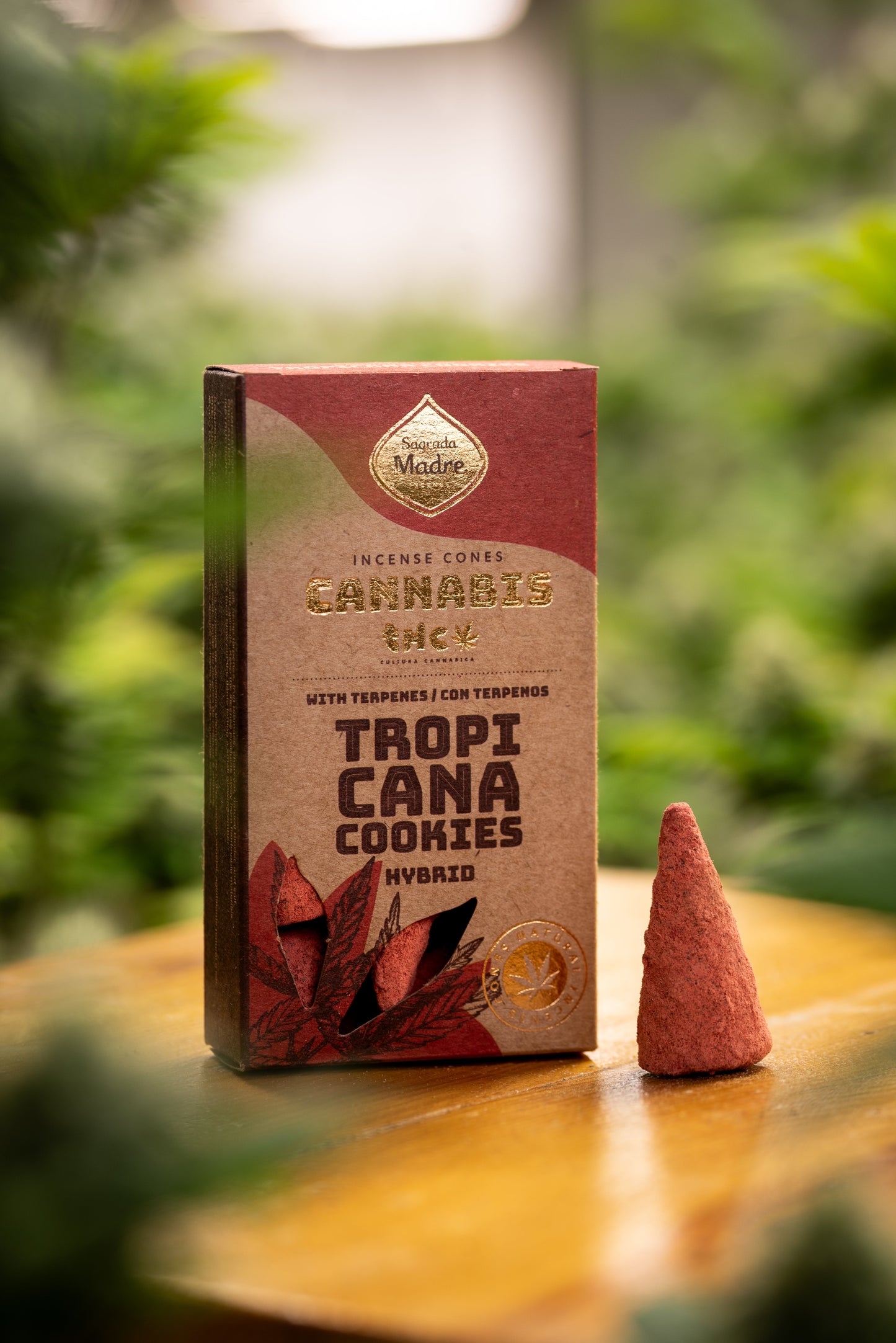 Conos Tropicana Cookies Sagrada Madre