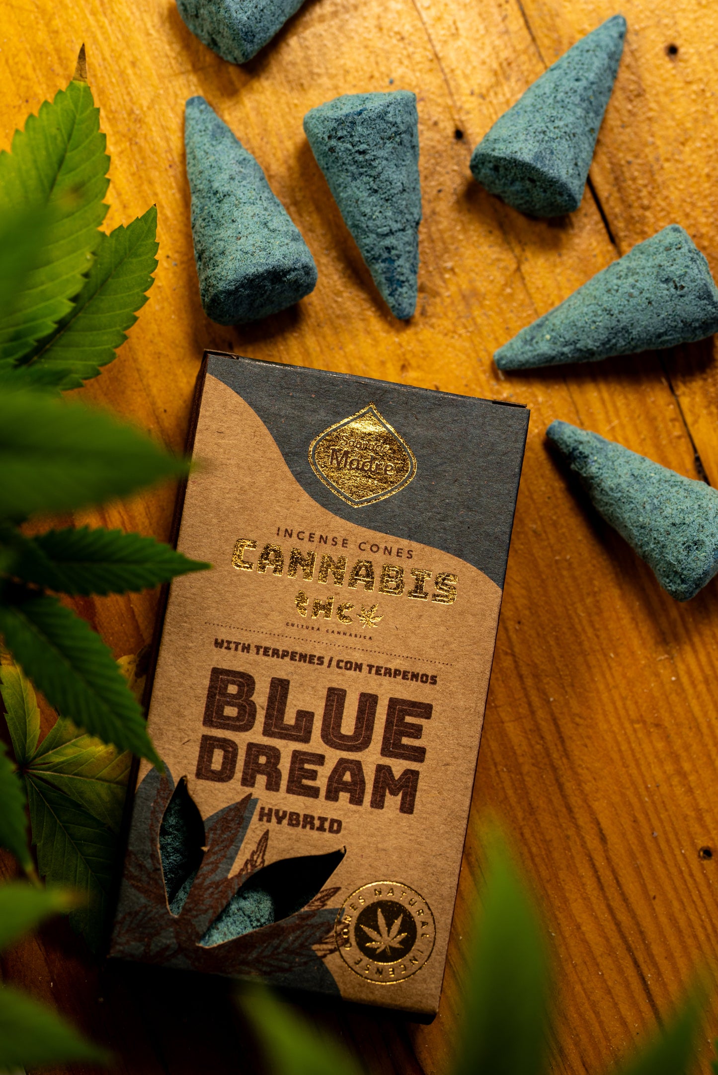 Conos Blue Dream Sagrada Madre