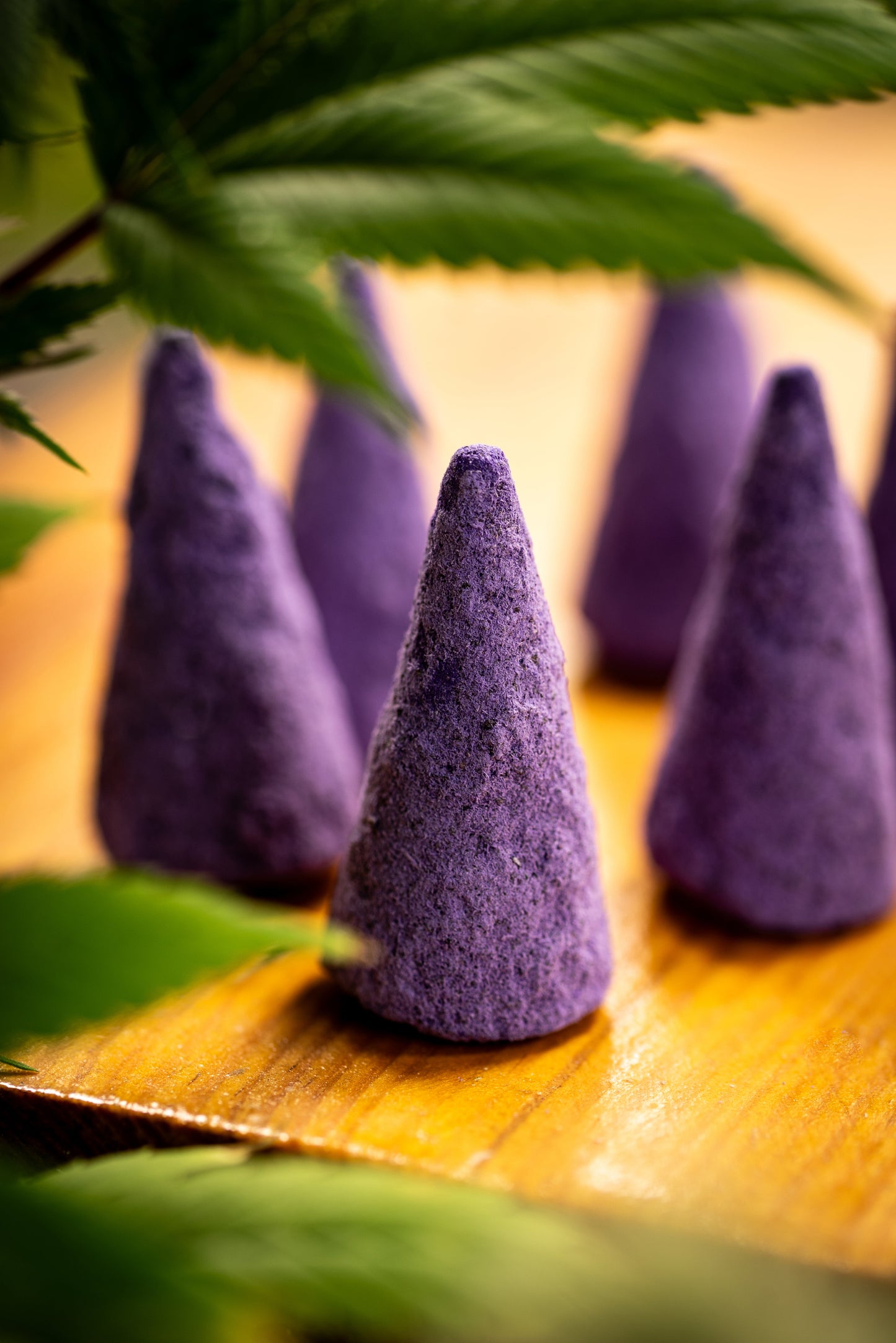 Conos Purple Hindu Kush (Indica) Sagrada Madre