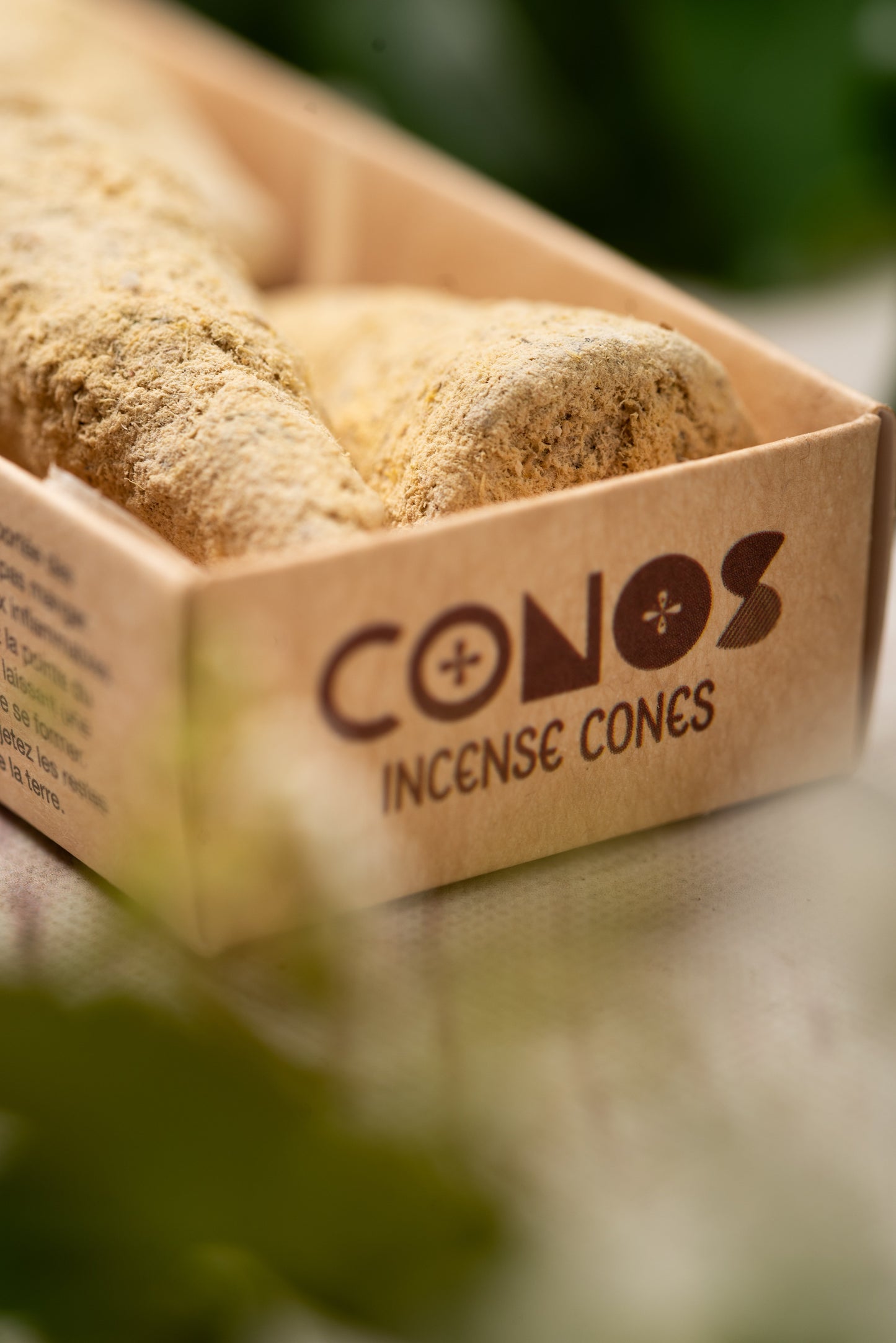 Sahumerio en Conos Flor de Champa