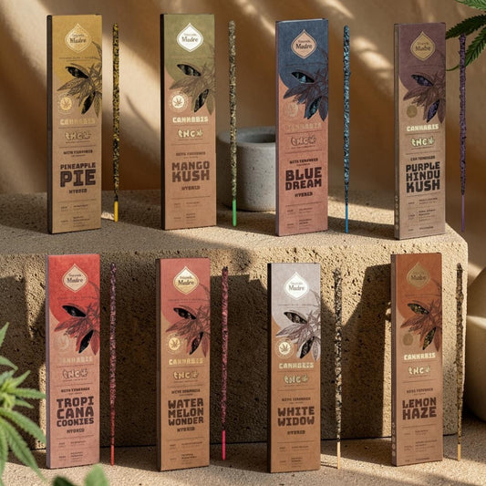 Pack Mayorista Sahumerios Linea Grow 24 Unidades