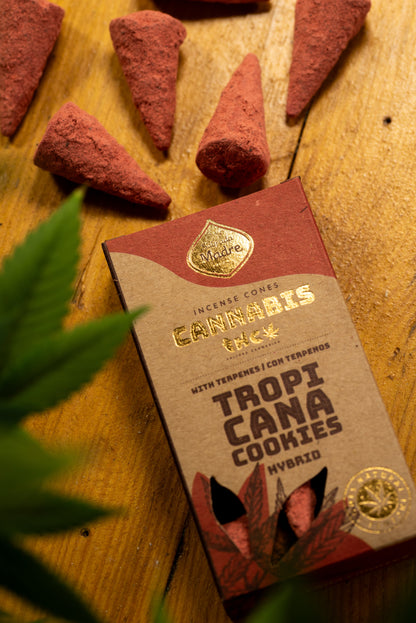 Conos Tropicana Cookies Sagrada Madre